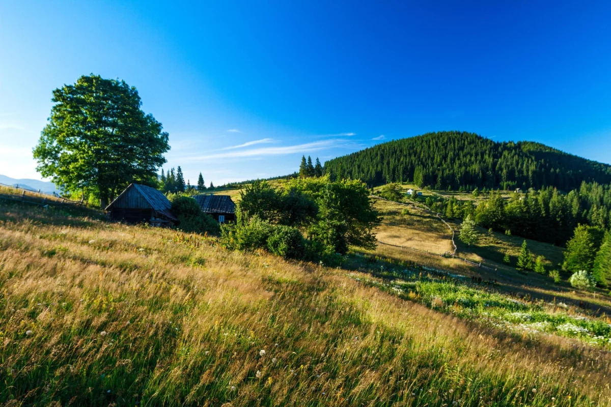 Zadbaj o zdrowie: Kluczowe kroki do lepszego samopoczucia!